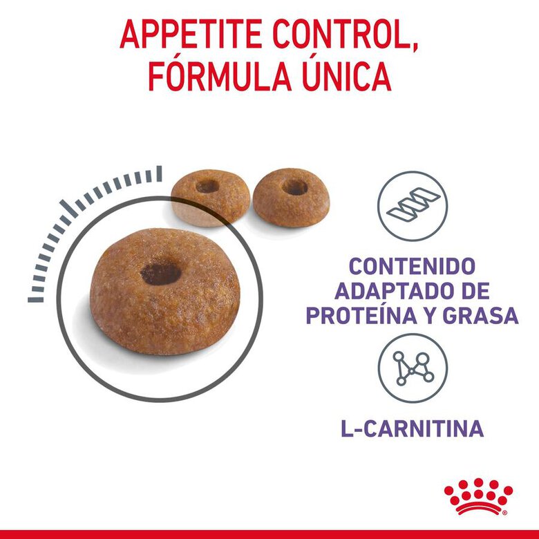 Royal Canin Appetite Control Care pienso para gatos, , large image number null